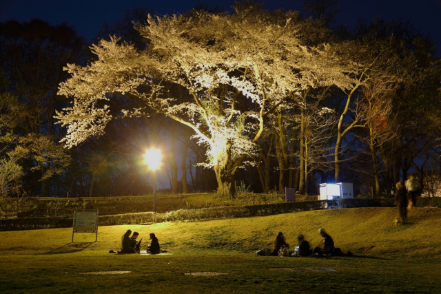 ぼうさいの丘公園